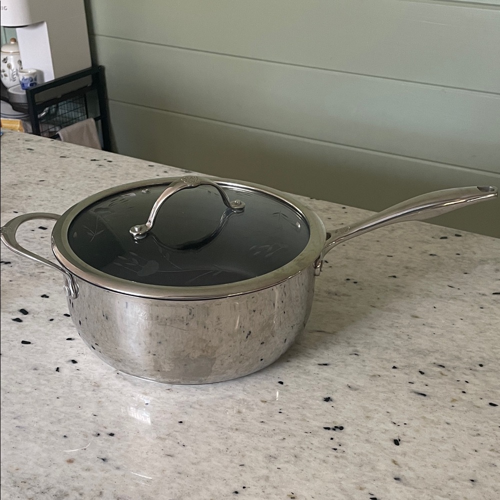 Princess House Stainless Steel Saucepan with Lid